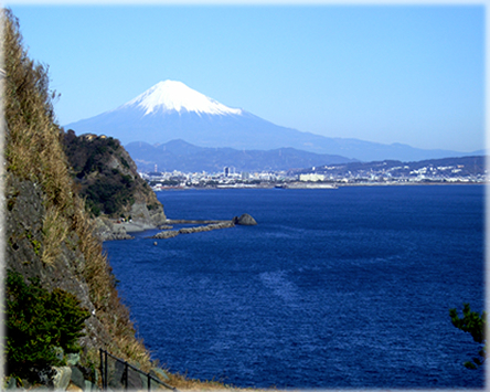 駿河湾