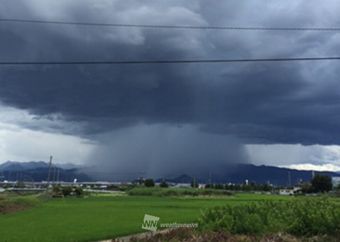 雨柱